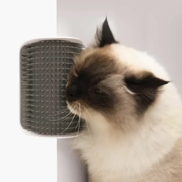 CATIT Self Groomer szczotka narożna dla kota do samodzielnej pielęgnacji, montowana do ściany CATIT Self Groomer szczotka narożna dla kota do samodzielnej pielęgnacji, montowana do ściany