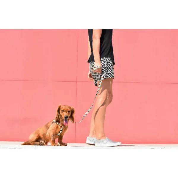 ZEE DOG Smycz Phantom S – zdjęcie 2