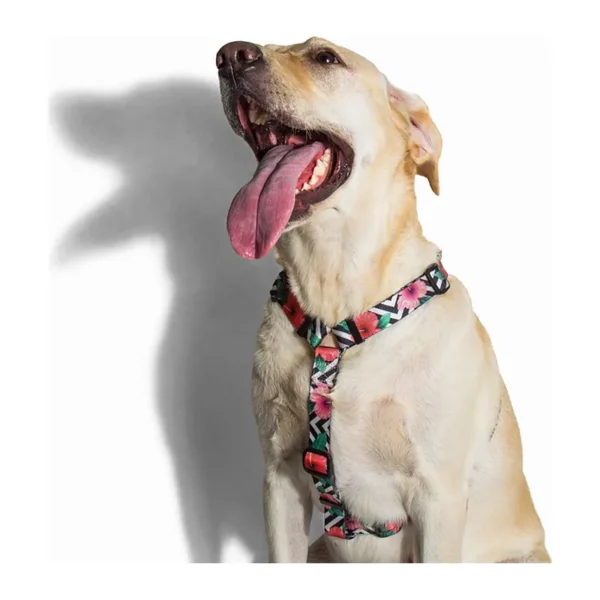ZEE DOG Szelki Dla Psa Mahalo L ZEE DOG Szelki Dla Psa Mahalo L – zdjęcie 2